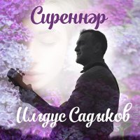 Постер песни Ильдус Садыков - Сиреннэр