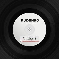 Постер песни Леонид Руденко, Contro - Shake it
