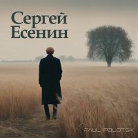 Постер песни Paul Polotsk - Ты меня не любишь, не жалеешь