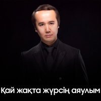 Постер песни Мақсат Андешбаев - Қай жақта жүрсің аяулым