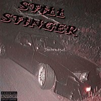 Постер песни DJ NEVERMANE - Still stinger