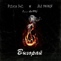 Постер песни Pijack Mc, Дед Володя, Liz'OK - Выгорай