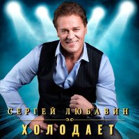 Постер песни Сергей Любавин - Холодает