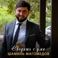Постер песни Шамиль Магомедов - Сводишь с ума