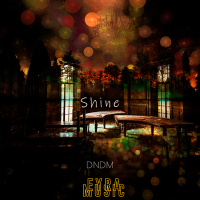 Постер песни DNDM - Shine