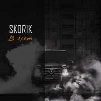 Постер песни SKORIK - В хлам