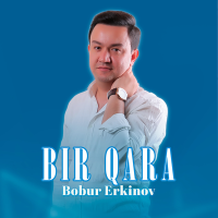 Постер песни Bobur Erkinov - Bir qara
