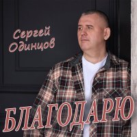 Постер песни Сергей Одинцов - Благодарю