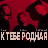 Постер песни ZIGZAGSOLO, Tiko.XO, Sharim - К тебе, родная! (Remix)