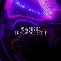 Постер песни MSMV, Yung Joc - I Know You See It