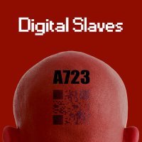 Постер песни A723 - Digital slaves