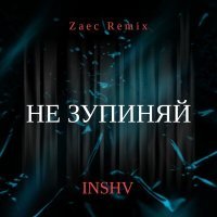 Постер песни INSHV, ZAEC - Не зупиняй (Zaec Remix)