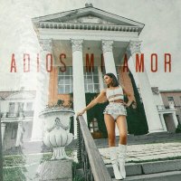 Постер песни Lil Kate - Adios Mi Amor