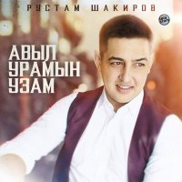 Постер песни Рустам Шакиров - Авыл урамын узам
