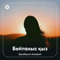 Постер песни Еркебұлан Ақкерей - Бейтаныс қыз