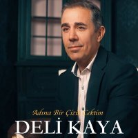 Постер песни Deli Kaya - Adına Bir Çizik Çektim