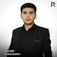 Постер песни Sanjar Sadriy - Yaxshi kunlar oldinda (Remix)