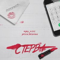 Постер песни Макс Эстет & Артем Яруллин - Стерва