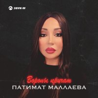 Постер песни Патимат Маллаева - Вороны кричат