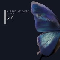 Постер песни calm boy - Ambient Aesthetic