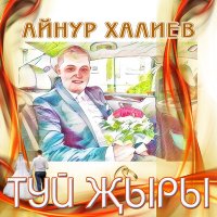 Постер песни Айнур Халиев - Туй җыры