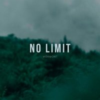 Постер песни Mormont - No Limit