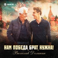 Постер песни Вячеслав Долинин - Нам победа, брат, нужна!