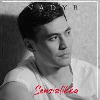 Постер песни Nadyr - Sensizlikka