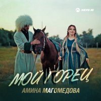 Постер песни Амина Магомедова - Мой горец