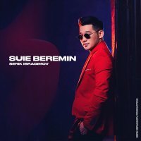 Постер песни Серік Ибрагимов - Suie beremin