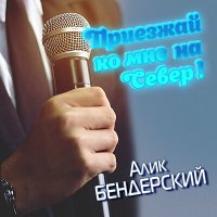 Постер песни Алик Бендерский - Приезжай ко мне на север!