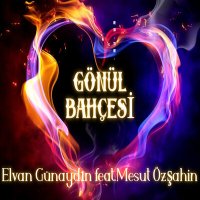 Постер песни Elvan Günaydın, Mesut Özşahin - Gönül Bahçesi