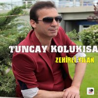 Постер песни Tuncay Kolukısa - Zehirli Yılan