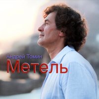 Постер песни Андрей Томин - Метель