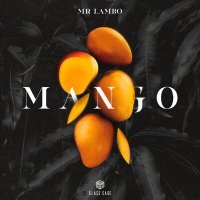 Постер песни Mr Lambo - Mango