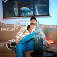Постер песни Тимур Timbigfamily - Напиться надо (Remixes)
