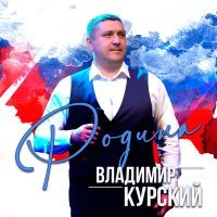 Постер песни Владимир Курский - День Победы