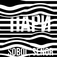 Постер песни SOBOL, Senor - Пари