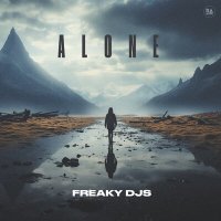 Постер песни Freaky DJs - Alone