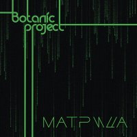 Постер песни Botanic Project - Матрица
