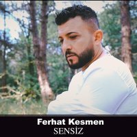 Постер песни Ferhat Kesmen - Sensiz