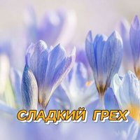 Постер песни Сергей Грищук - БЕЛЫЕ ЛЕБЕДИ