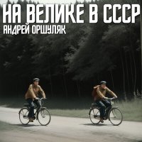 Постер песни Андрей Оршуляк - Рейс