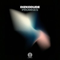 Постер песни Dizkodude - Promises