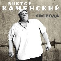 Постер песни Виктор Каменский - Женщина-пустышка