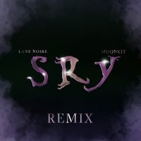 Постер песни Lane Noire, moonkit - SRY (Remix)