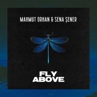 Постер песни Mahmut Orhan, Sena Sener - Fly Above