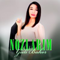 Постер песни Guli Bahor - Nozlarim