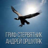 Постер песни Андрей Оршуляк - Кабриолет
