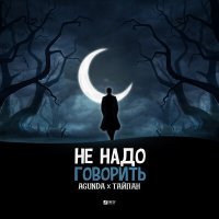 Постер песни Agunda, Тайпан - Не надо говорить